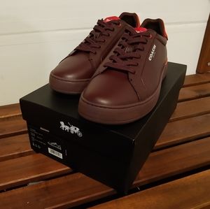 Coach lowline low top sneaker